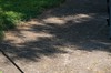 2017-08-21 Eclipse 131